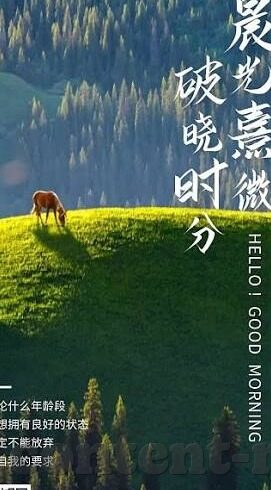 小早川了怜子中文字幕-探寻小早川了怜子的细腻情感——一场心灵之旅的中文解读